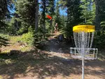 disc-golf-nancy