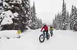 fat biking 1