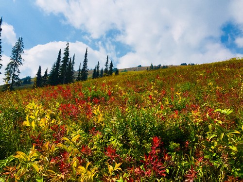 Sun Peaks fall activities - enjoy the fresh mountain air and beautiful fall colors