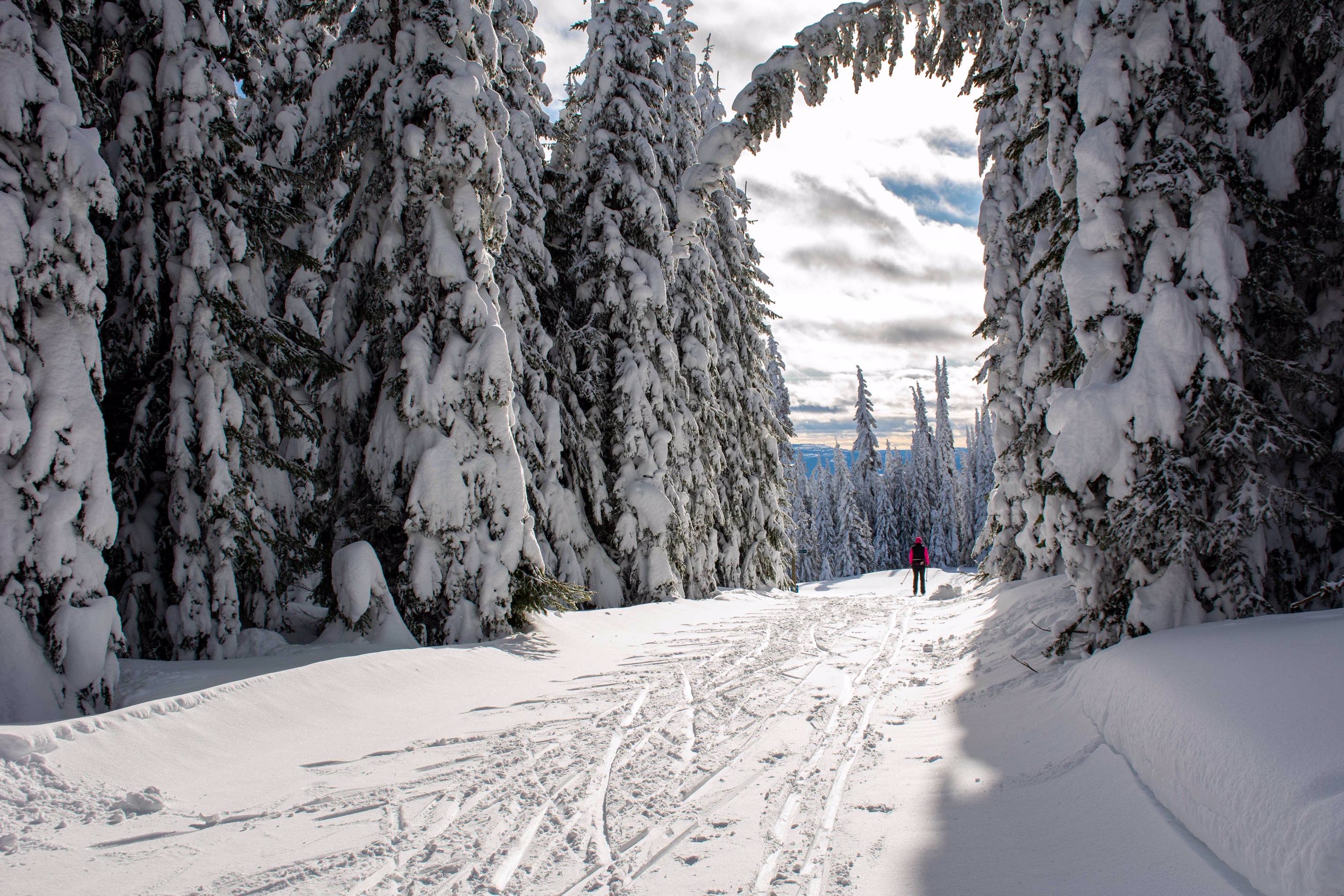 Sun Peaks nordic skiing