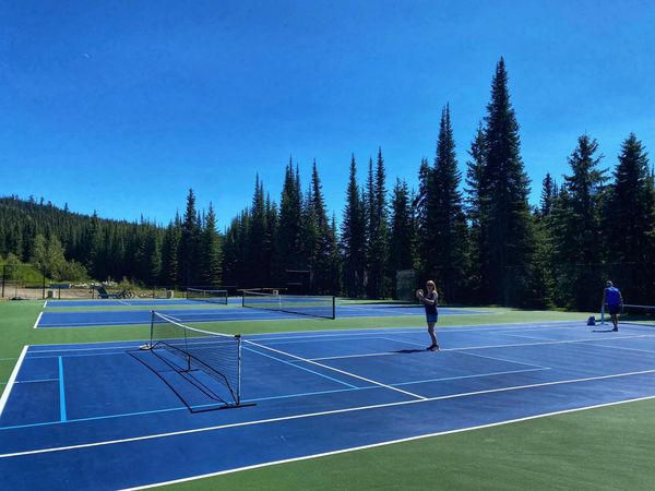 pickleball court area