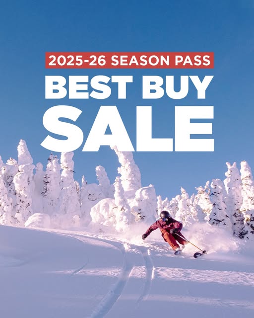 best buy 2025 2026