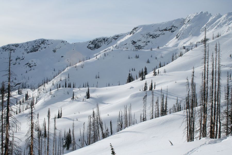 Over 33,000 acres of back-country skiing