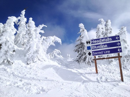 Snow ghosts - Crystal Chair Sun Peaks