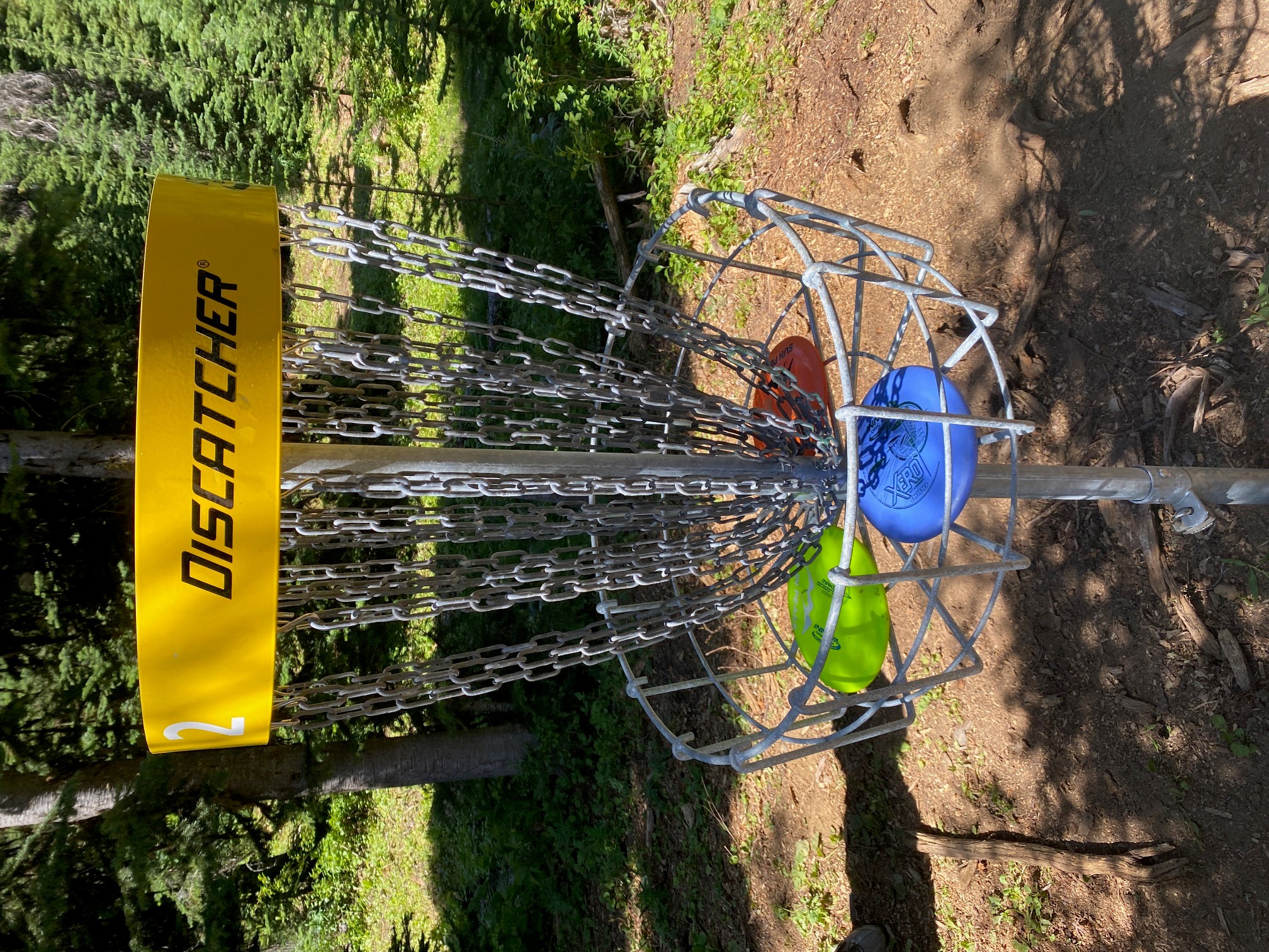 Sun Peaks disc golf basket