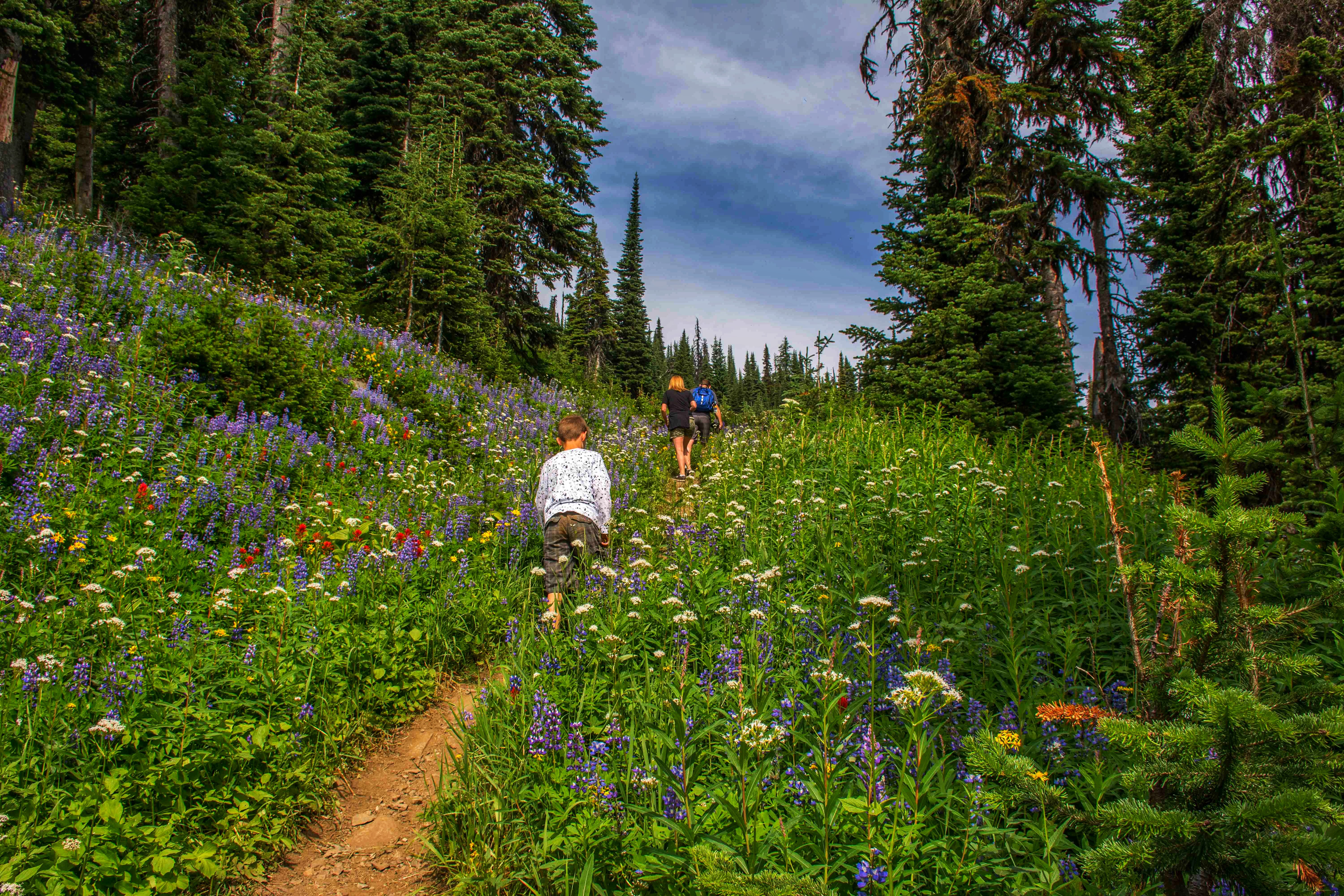 sun-peaks-hiking