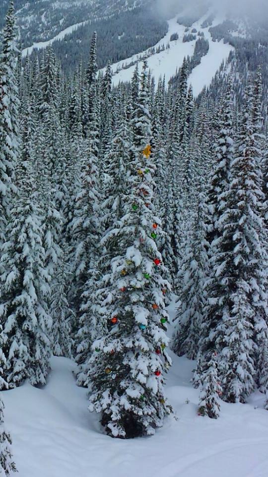 Decorated trees on Mt. Morrisey Sun Peaks Resort Decorated trees on Mt. Morrisey Sun Peaks Resort