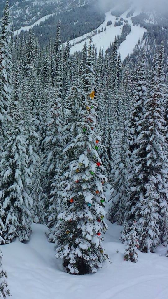 Decorated trees on Mt. Morrisey Sun Peaks Resort