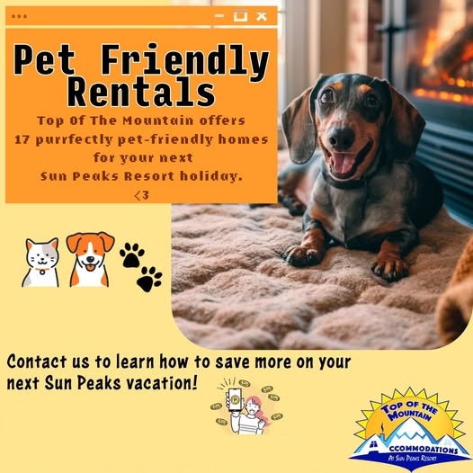 sun peaks pet friendly totm