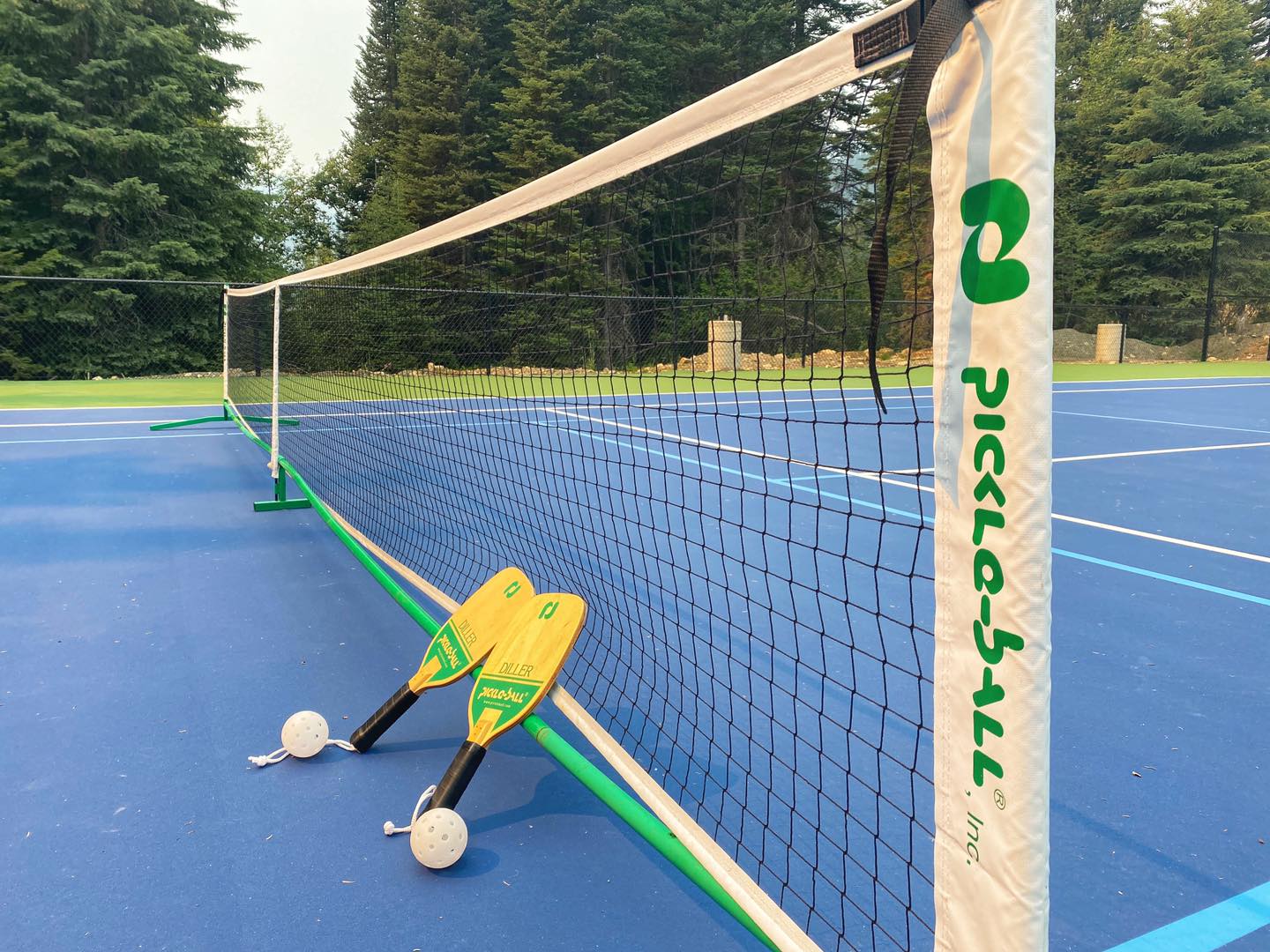 pickleball rackets