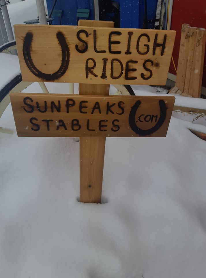 Custom wood business signs