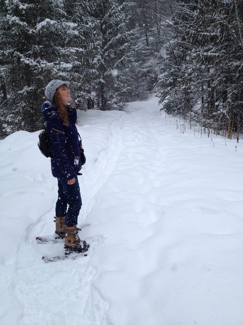 Sun Peaks Snowshoe trails