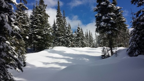 Fresh snowshoe tracks at Sun Peaks