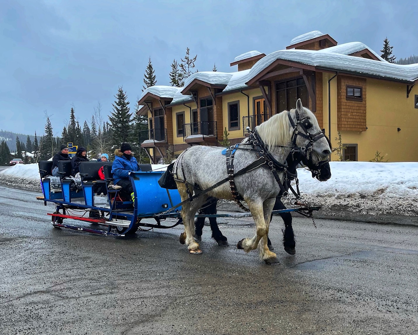 Sun Peaks Spring Skiing Activities