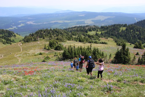 Mount Tod Summit Hike 2014