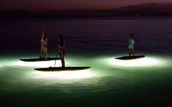 Night stand up paddleboard tours - serene awesome fun