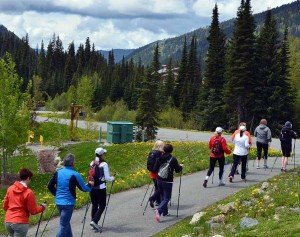 Private or Group Nordic Pole Walking Training