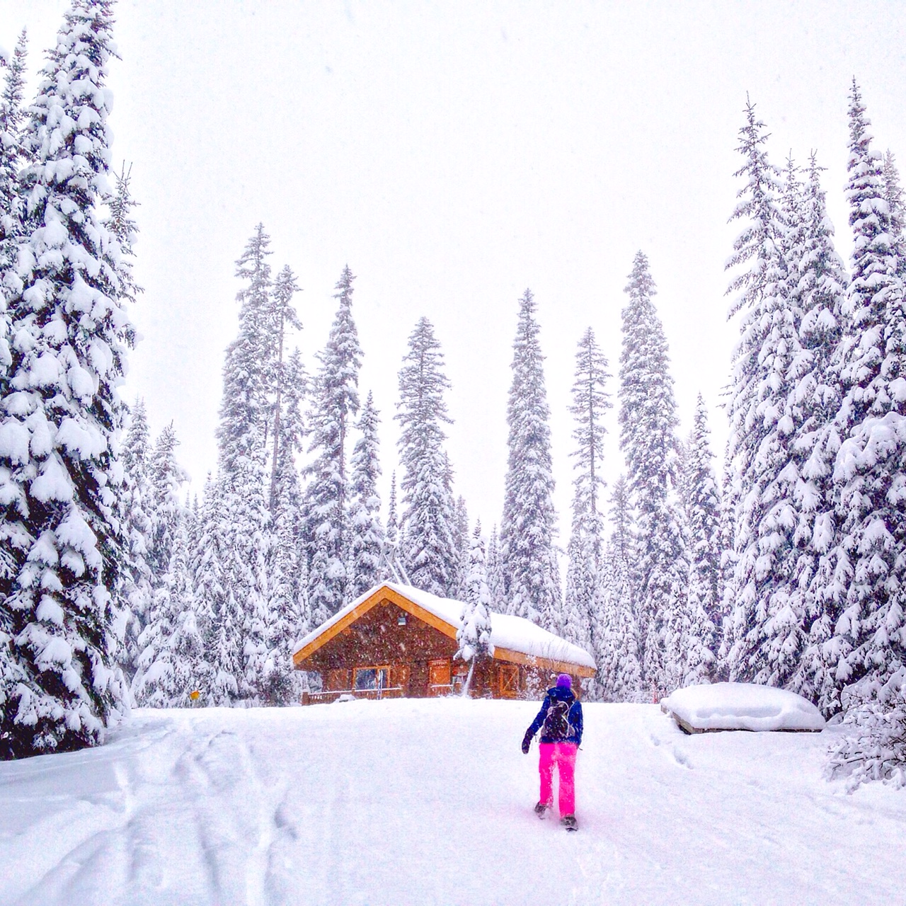 Snowshoe to McGillivray Lake Outpost Warming Hut at this lake near Sun Peaks