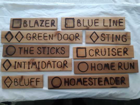 Custom wood name signs