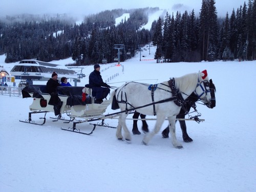 Sun Peaks winter sleigh rides